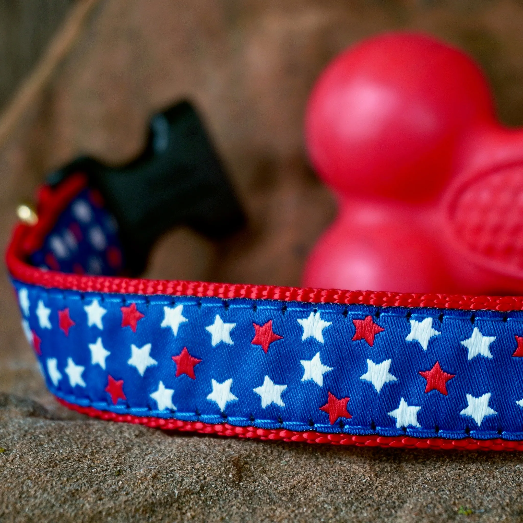 New Stars Dog Collar