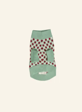 Rodney Dog Jumper - Mint Check